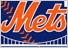 NEW YORK METS