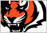 CINCINNATI BENGALS