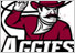 NEW MEXICO STATE