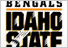 IDAHO STATE