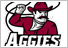 NEW MEXICO STATE