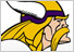 MINNESOTA VIKINGS