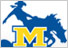 MCNEESE STATE